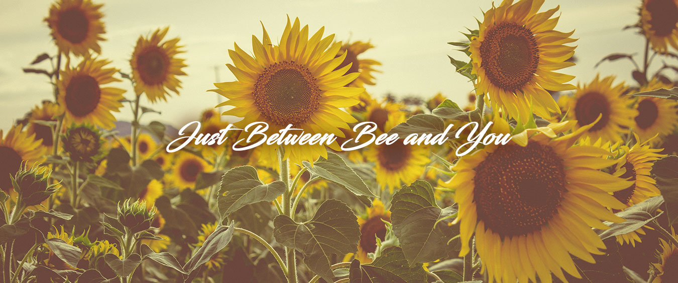 Just Between Bee and You